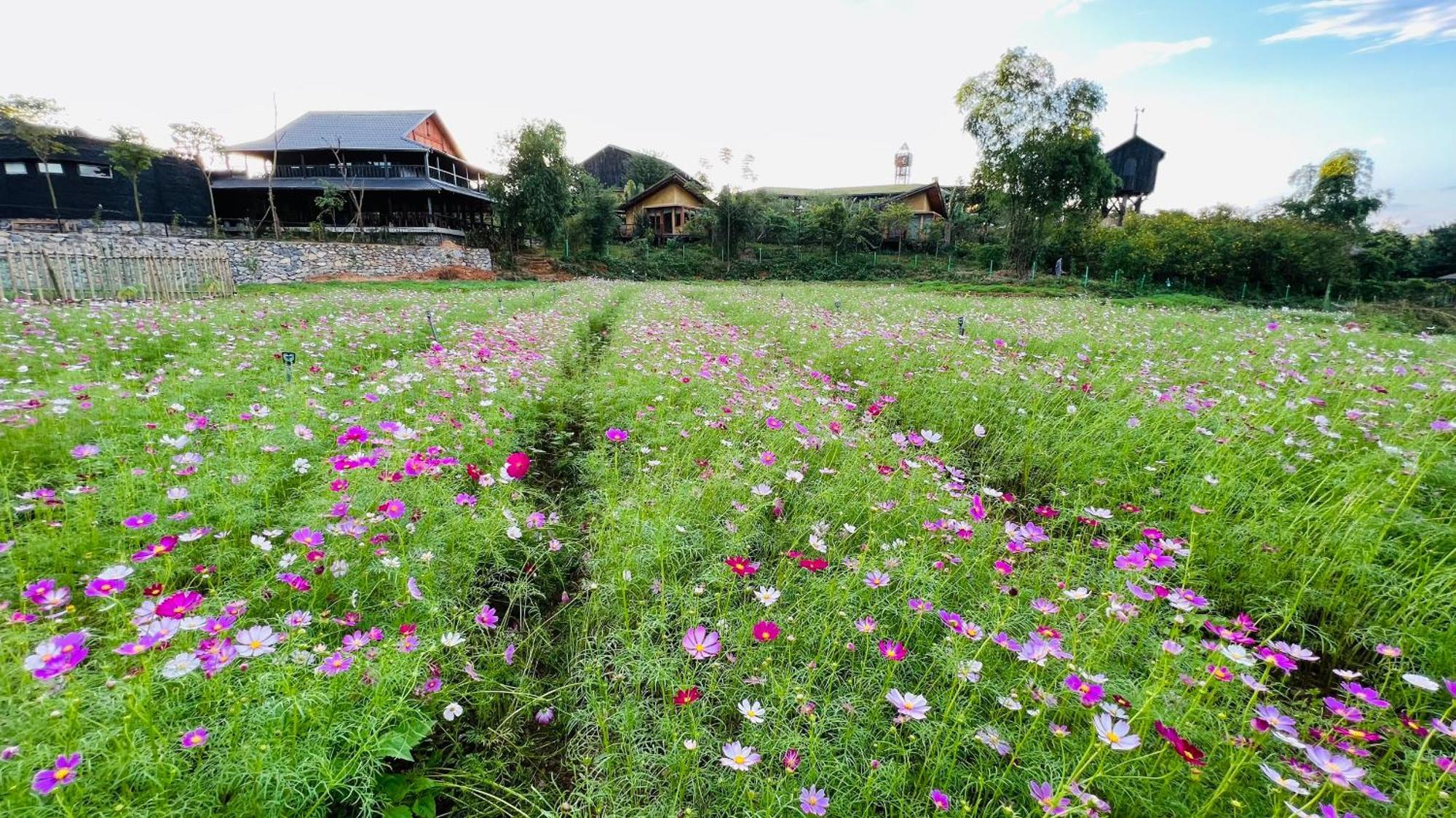 Satoyama Village Luong Son  Exterior foto